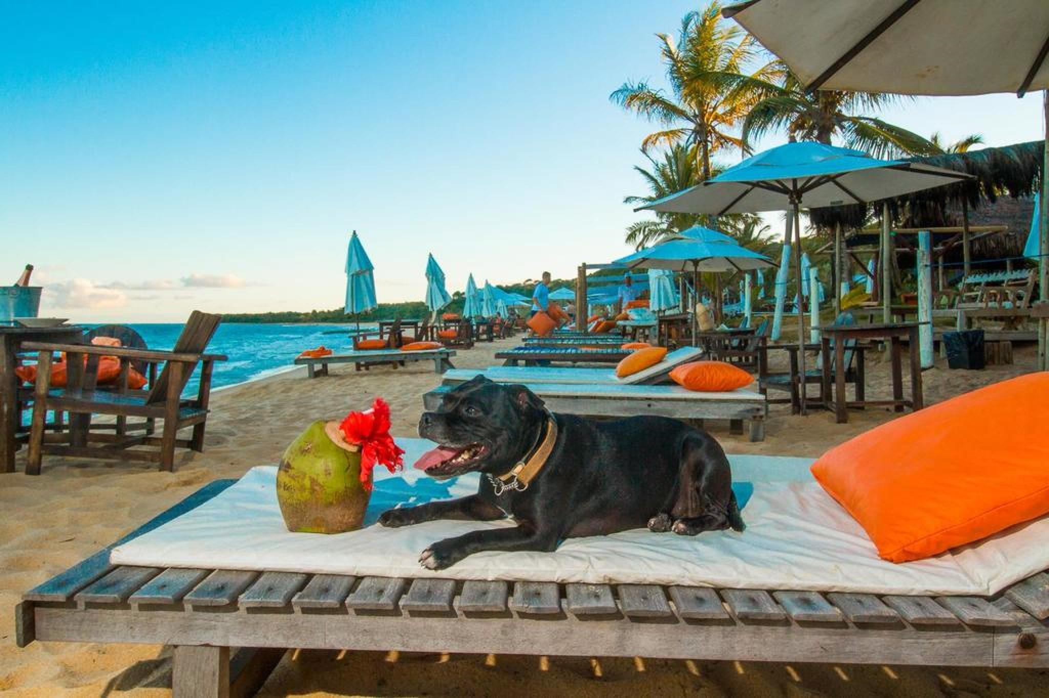 Travel Inn Trancoso Garden Luaran gambar